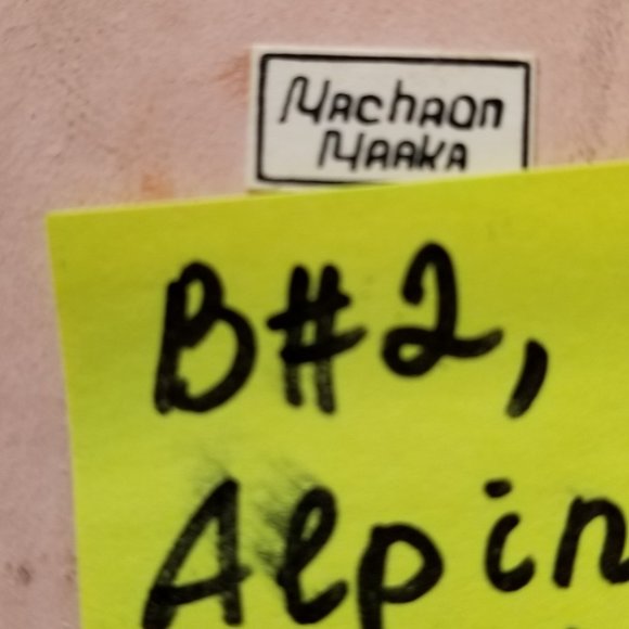 #B2 1 Rare Collectible Real Far East Russian Alpine Black Swallowtail Butterfly - Picture 12 of 13